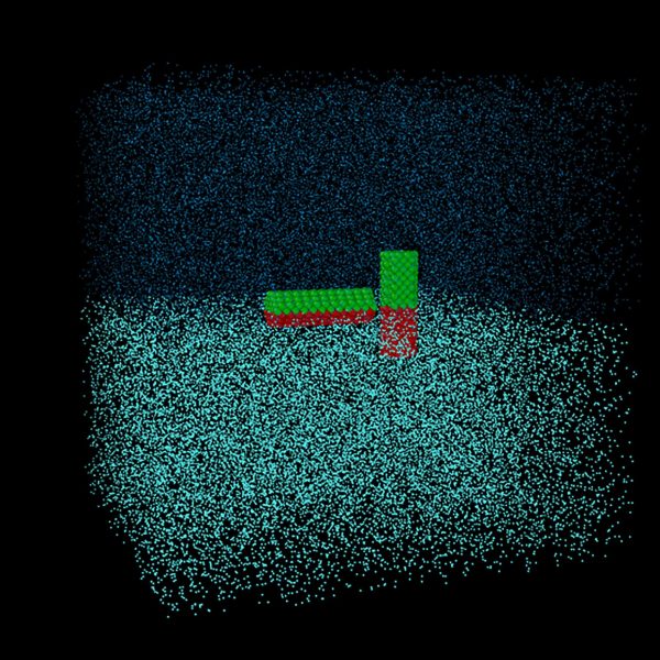 Simulations Reveal Fundamental Insights on Janus Particles