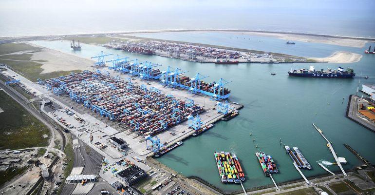 Container port congestion worsening at start of 2022: Sea-Intel