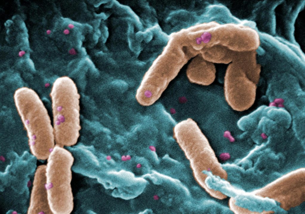 Bacteria Communicate Using Chemical Signals Comparable to Radio Waves